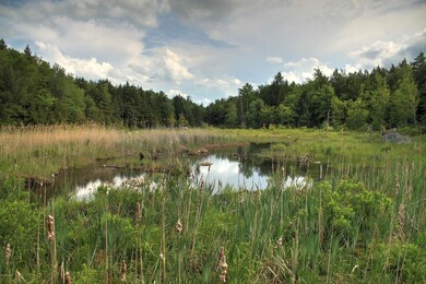 Marsh