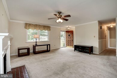 3229 Magnolia Ave, Falls Church, VA 22041 - photo 3