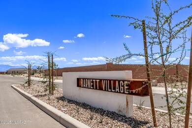 13538 N Nicholas Ct, Marana, AZ 85653 - photo 3