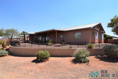 10590 Highway 549 SE, Deming, NM 88030 - photo 3