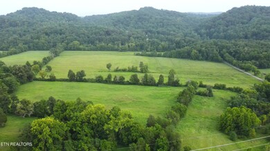 7662 Haws Rd unit 2, Knoxville, TN 37920 - photo 7