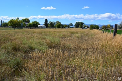 4462 Dingle Rd, Dingle, ID 83233 - photo 7