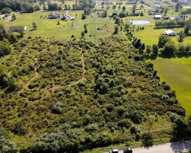 South Side of the Property