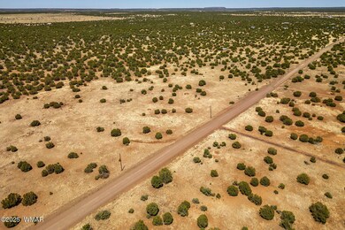 8770SupancheckRd-ShowLow-AZ-9