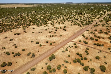 8770SupancheckRd-ShowLow-AZ-9