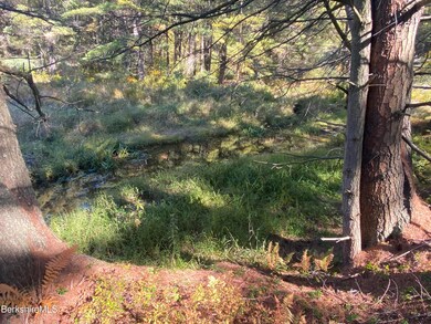 0 Rte 57 unit 239065, New Marlborough, MA 01230 - photo 7