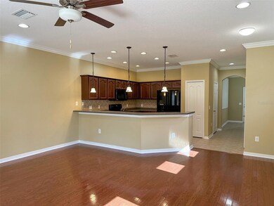 11801 Castine St, New Port Richey, FL 34654 - photo 4