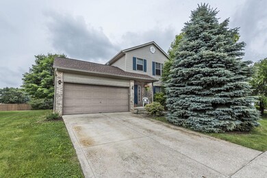 39 Fieldcrest Dr 03