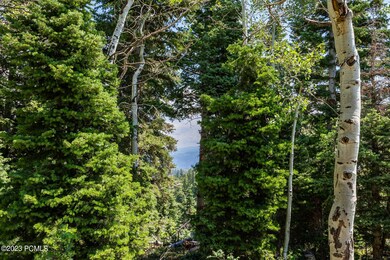 2191 Pine Loop Road Wanship UT 84017 USA