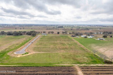 3902 Chemin Belle Terre, Maurice, LA 70555 - photo 7