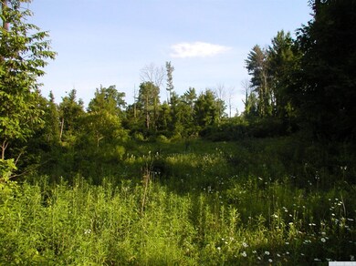 0 Leeds Athens Rd unit 110052, Athens, NY 12015 - photo 3