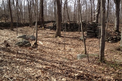 0 S White Rock Rd unit 6015368, Pawling, NY 12531 - photo 2