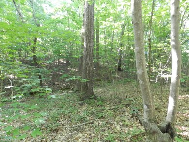 0 Bethel Lucas Rd, Asheboro, NC 27205 - photo 6