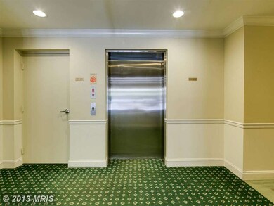 4550 Chaucer Way unit 404, Owings Mills, MD 21117 - photo 6