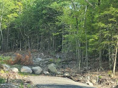 Lot just beyond the boulders