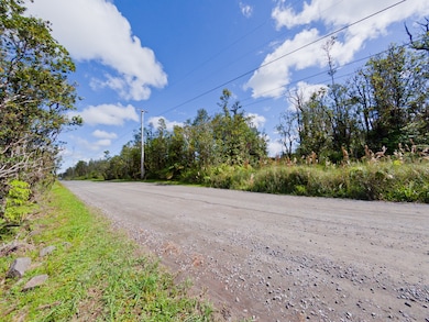 0 Omeka Rd unit 725488, Volcano, HI 96785 - photo 4