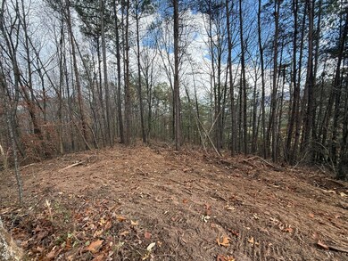 Lot 3 Parksville Rd, Benton, TN 37307 - photo 3