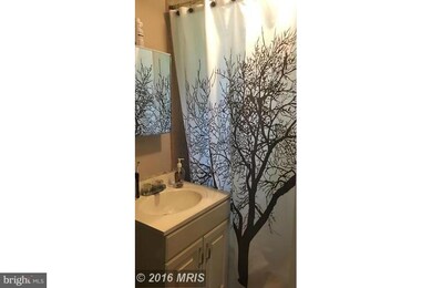 5713 Magnolia Ln, Falls Church, VA 22041 - photo 6