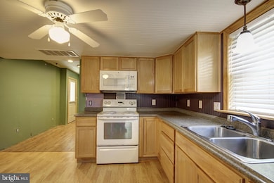 709 E Isabella St, Salisbury, MD 21804 - photo 6