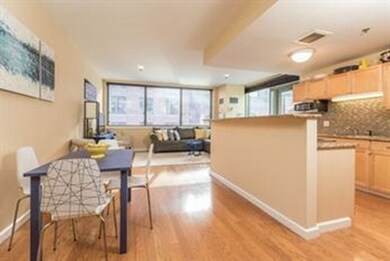 The Strada 234 unit 704, Boston, MA 02114 - photo 6