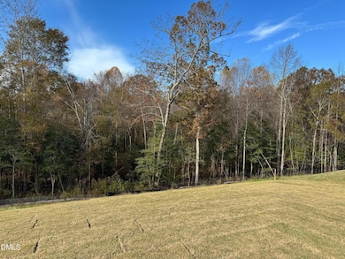 1021 Red Finch Way, Angier, NC 27501 - photo 3