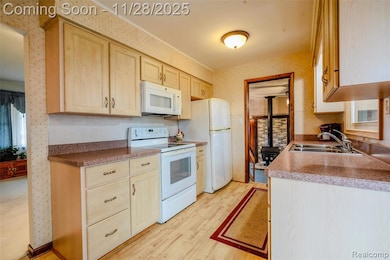 8778 Redwood Dr, Monroe, MI 48162 - photo 7