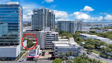 55 Las Palmeras, San Juan, PR 00901 - photo 3