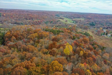 DJI_0256