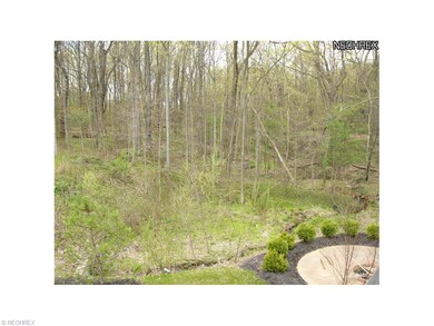 view from rear porch