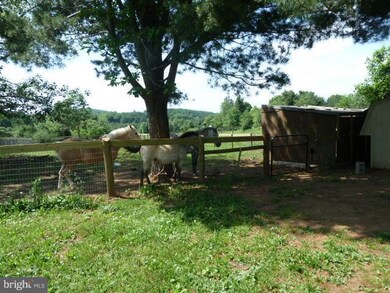 9365 Ramey Rd, Marshall, VA 20115 - photo 6