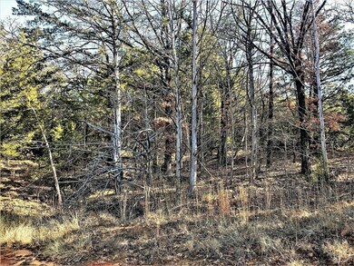 596 Sycamore Hills Loop, Gordonville, TX 76245 - photo 4