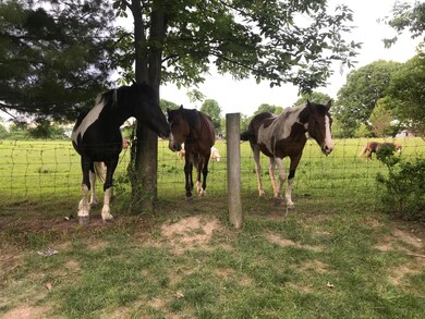 2204 Coldharbor Ct, Lewis Center, OH 43035 - photo 2