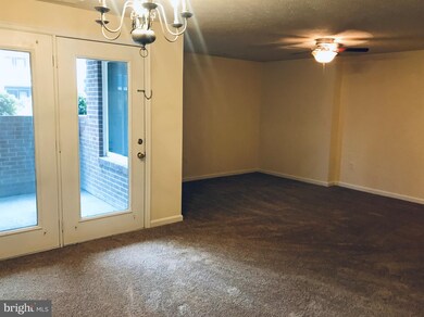 2110 White Hall Rd unit BD, Frederick, MD 21701 - photo 5