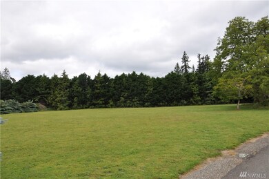 30721 Webster Rd E, Eatonville, WA 98328 - photo 5