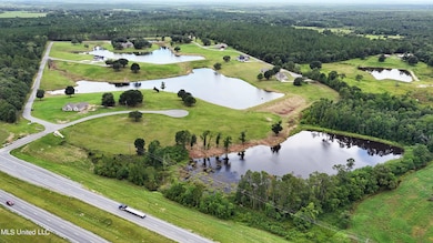 Lot 22 Gracies Way, Lucedale, MS 39452 - photo 4