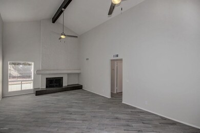 Real Fireplace