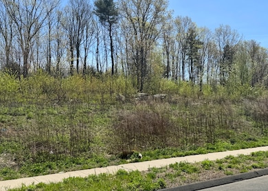 156 Corbin Ridge, Bristol, CT 06010 - photo 2