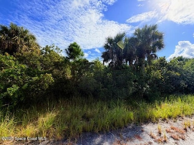 1921 Conkling Ave, Palm Bay, FL 32908 - photo 2