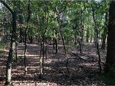 0 On Hwy 43 Hwy unit 687763, Siloam Springs, AR 72761 - photo 4