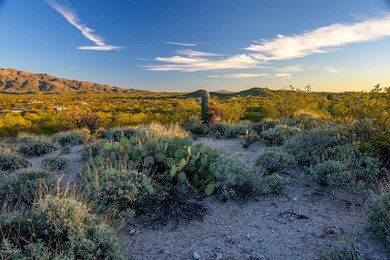TBD S Pinto Place Parcel 2, Tucson, AZ 85748 - photo 6