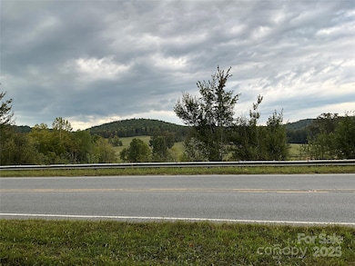 TBD D G Echerd Rd unit 2, Taylorsville, NC 28681 - photo 2