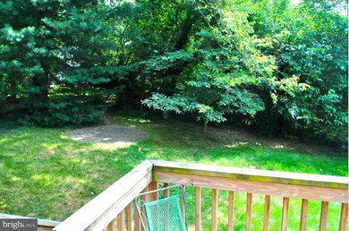 7103 14th Ave, Takoma Park, MD 20912 - photo 7