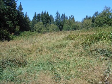 6019 310th St NW, Stanwood, WA 98292 - photo 2