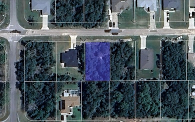 2162 W Swanson Dr, Pine Ridge, FL 34434 - photo 2