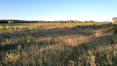 03 G24 Hwy, Spring Hill, IA 50125 - photo 6