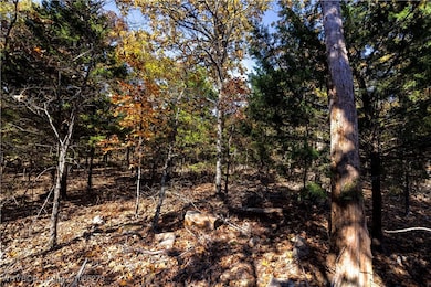 TBD S 4497 Rd, Vian, OK 74962 - photo 4