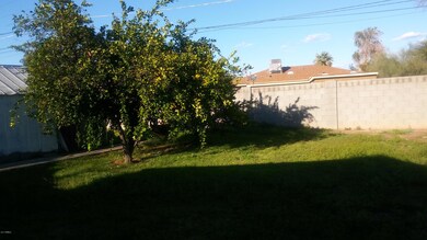 Orange and Lemon Trees / Back Yard