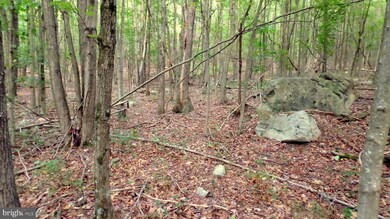 Lot 151 Trough View Rd, Old Fields, WV 26836 - photo 6