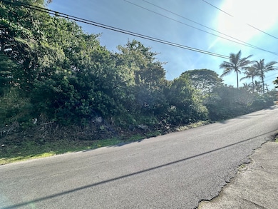 0 Kaohe Rd unit Lot 12, Captain Cook, HI 96704 - photo 4