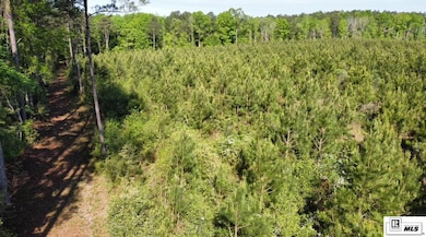 000 Anadarco Rd, Eros, LA 71238 - photo 3